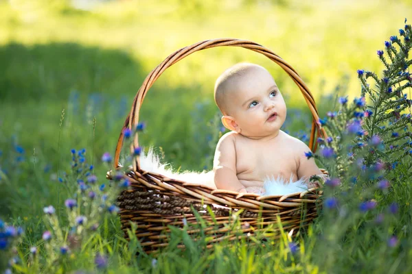 Small naked smiling child sitting in a basket — Stock Photo, Image