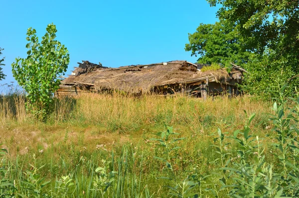 Hütte, alte verlassene Hütte in der Nähe des zerstörten Tschernobyl — Stockfoto