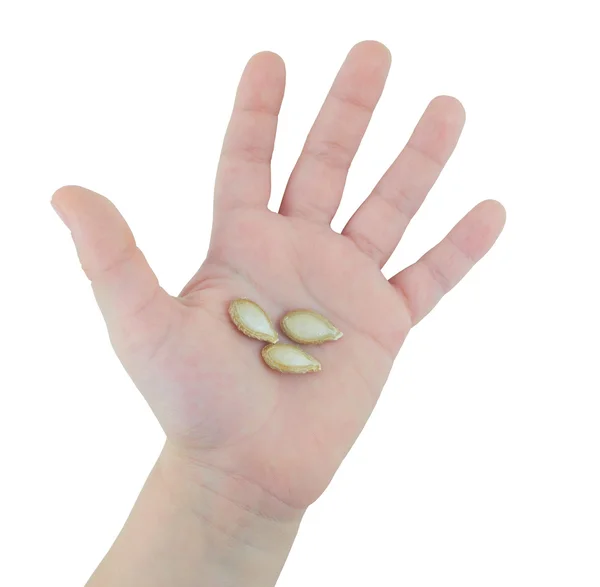 Hand of a child holding pumpkin seeds isolated on white background — Stock Photo, Image