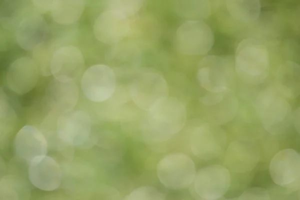 Naturen grön bokeh abstrakt bakgrund — Stockfoto