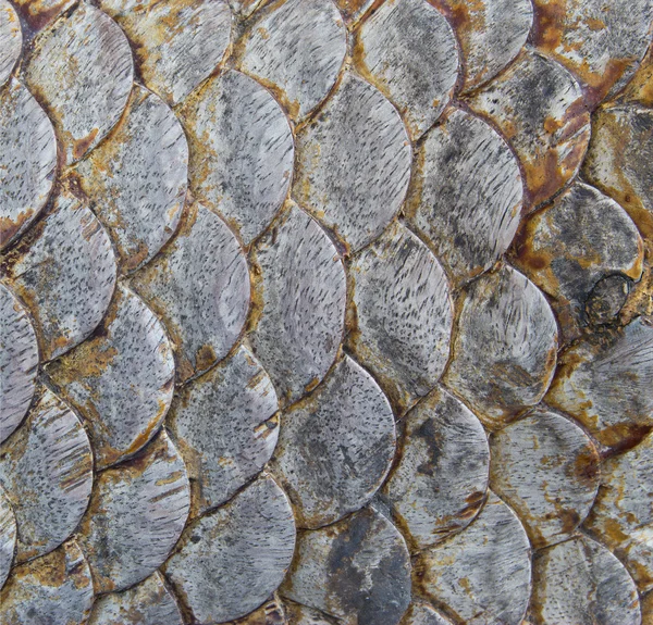 Intaglio del legno di un drago in Thailandia — Foto Stock