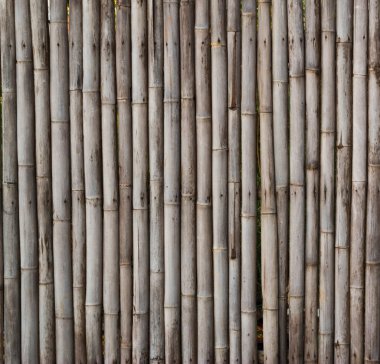 Bambu çit