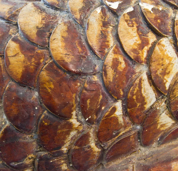 Wood carving of a dragon at thailand — Stock Photo, Image