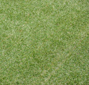 yapay haddelenmiş yeşil çimen