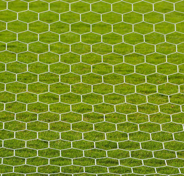 goalpost net detail with green grass blur in background sports c