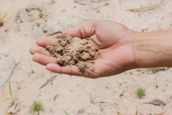 Çiftçi elinde toprak — Stok fotoğraf
