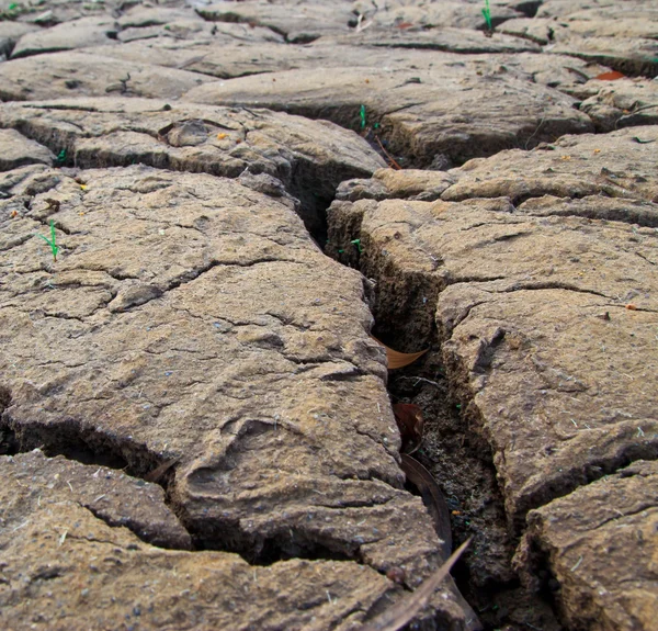 Texture de terre sèche au thailand — Photo