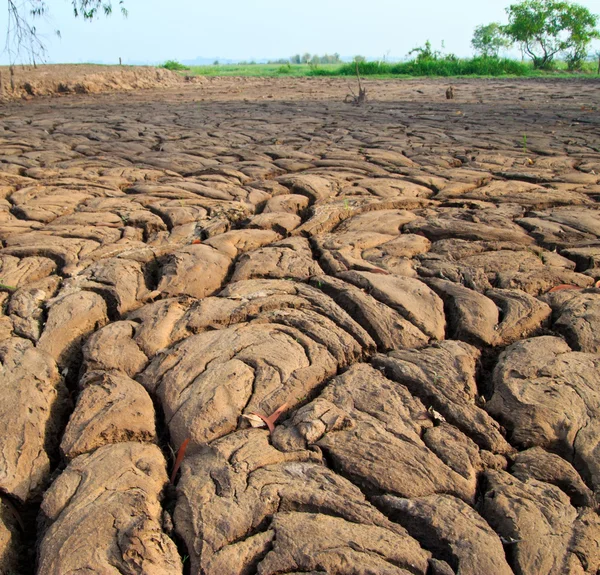 Textura de tierra seca en Tailandia — Foto de Stock