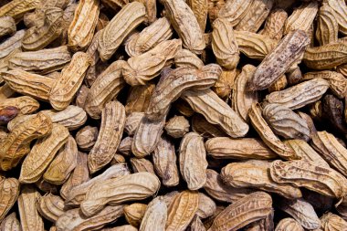 yer fıstığı arka plan