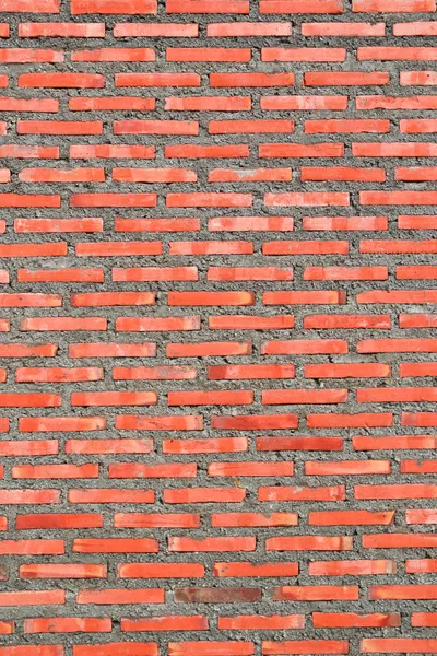 Nieuwe muur op cholburi — Stockfoto