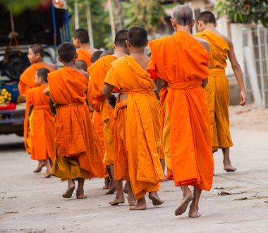 close up of a group of young Buddhist novice monks walking clipart
