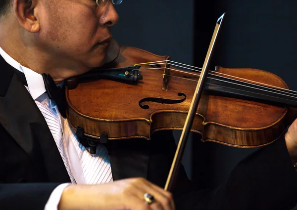 A tocar violino. Instrumento musical com mãos de intérprete em d — Fotografia de Stock