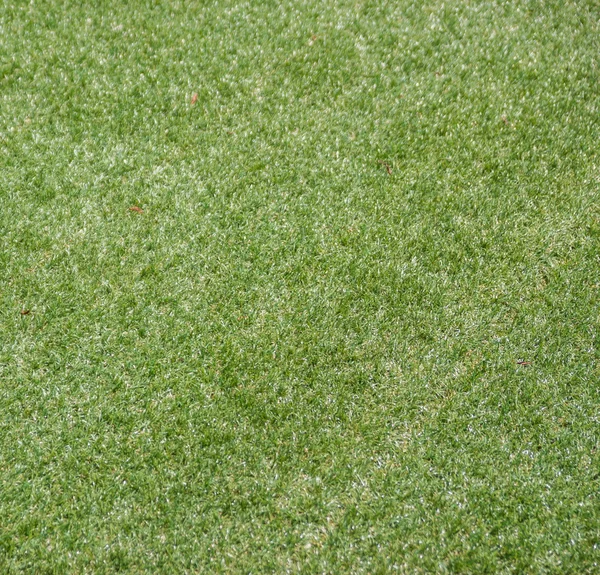 Artificial rolled green grass — Stock Photo, Image