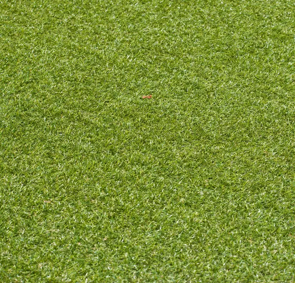 Artificial rolled green grass — Stock Photo, Image