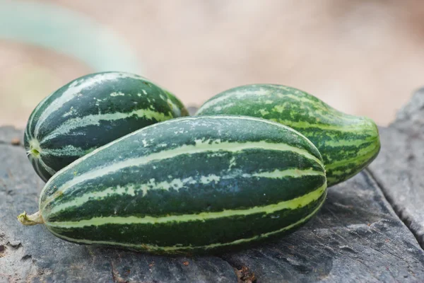 Snake gourd — Stock Photo, Image