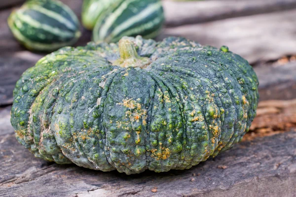 Green pumpkin fruit — Stock Photo, Image