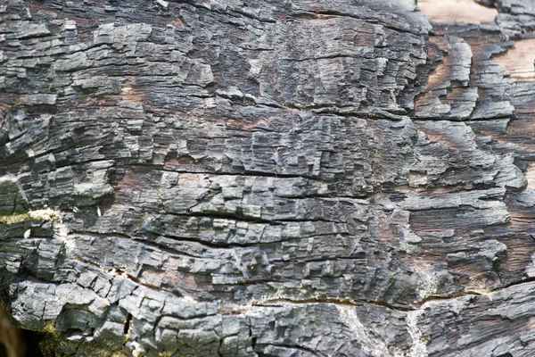 Verbranntes Holz — Stockfoto