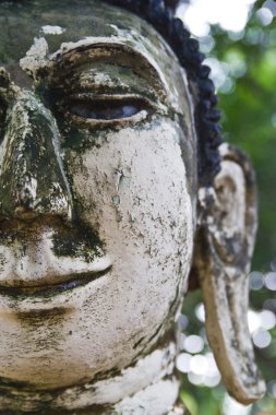 Antik Buda yüz, ayutthaya, Tayland