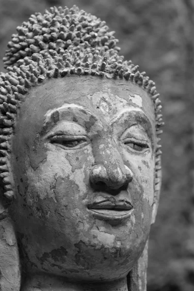 Buddha portrait — Stock Photo, Image