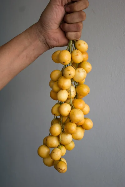 Hand with thai fruit — Stock Photo, Image