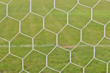 Futbol yeşil çimenlerin üzerinde net arka plan
