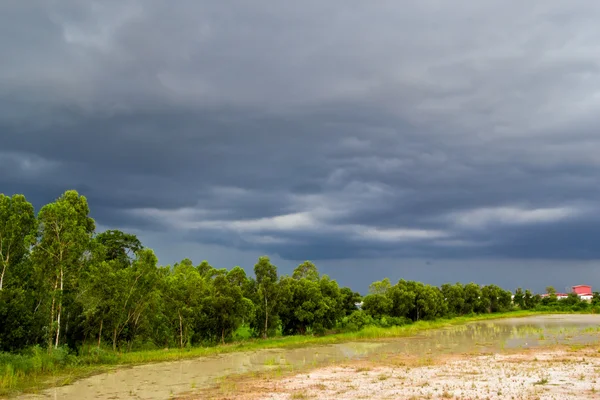Versa pioggia e nuvole scure sul pascolo in campagna di — Foto Stock