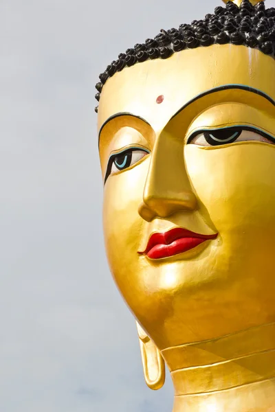 Porträtt av buddha staty — Stockfoto