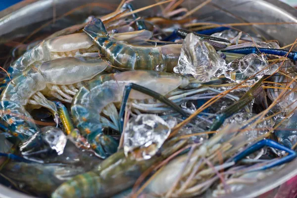 Fresh shrimp in fresh market — Stock Photo, Image