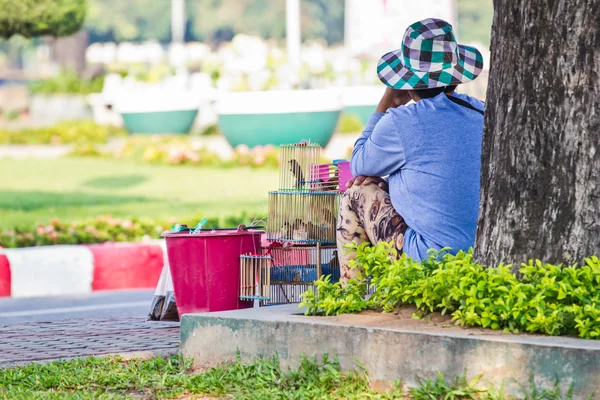 Kuş kafeste, merit terk edilmesi ile yapımında kullanılmak — Stok fotoğraf