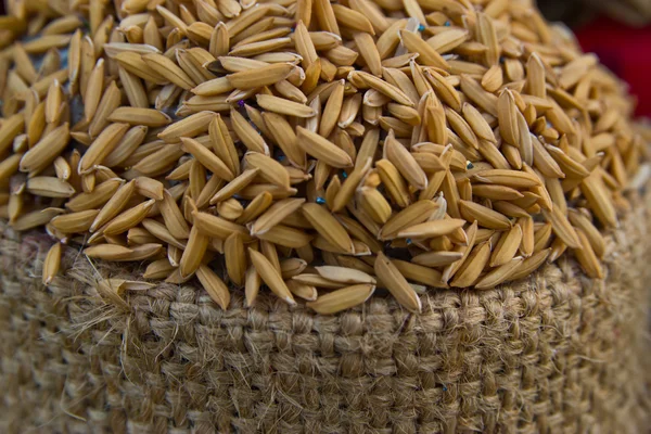 The paddy in a sack — Stock Photo, Image