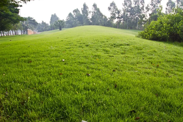 Jardim tranquilo com um gramado recém-cortado — Fotografia de Stock