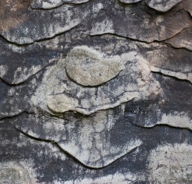 aşınmış Beyaz çimento arka plan