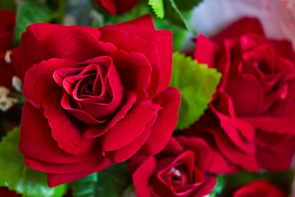 Trandafiri rosii pentru Valentine 's Day — Fotografie, imagine de stoc
