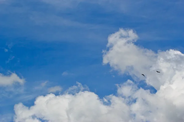 무성 한 흰 구름과 하늘 배경 — 스톡 사진