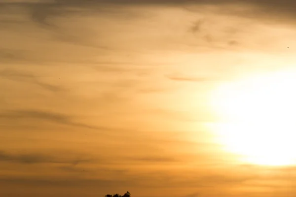 Heller Sonnenuntergang Himmel Hintergrund — Stockfoto