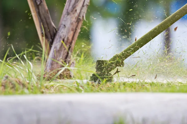 En mann som klipper gresset – stockfoto