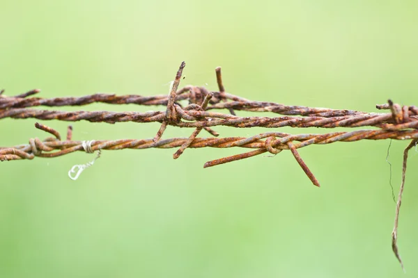 有刺鉄線の背景 — ストック写真