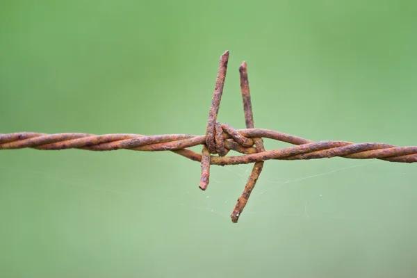 Alambre de púas sobre fondo —  Fotos de Stock