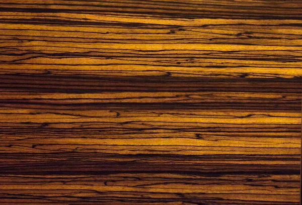 Texture of wood use as background — Stock Photo, Image