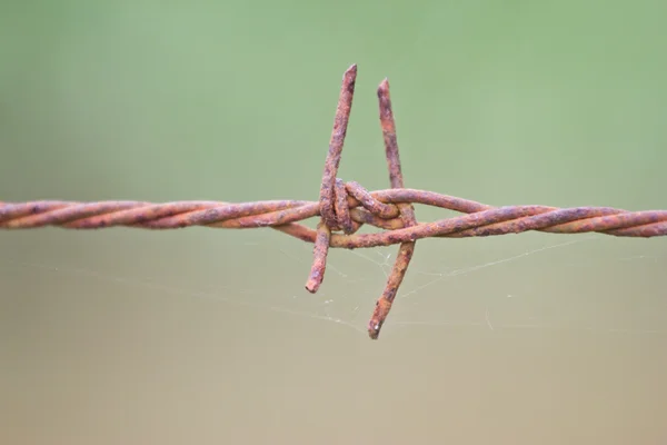 Alambre de púas sobre fondo —  Fotos de Stock