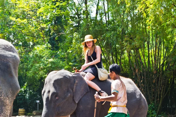 Turist Rider elefanten i en djurpark — Stockfoto