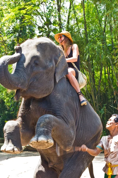 Toeristische rijdt de olifant in de dierentuin — Stockfoto