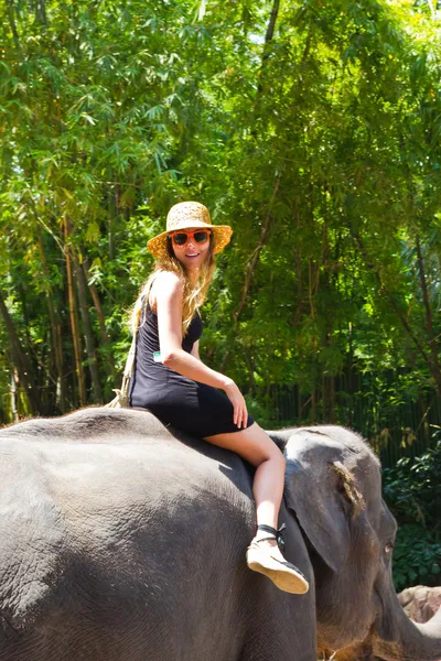 Turista monta el elefante en un zoológico —  Fotos de Stock