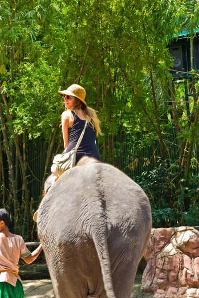 Turista monta o elefante em um zoológico — Fotografia de Stock