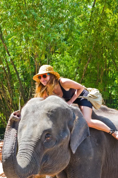 Turista monta el elefante en un zoológico — Foto de Stock