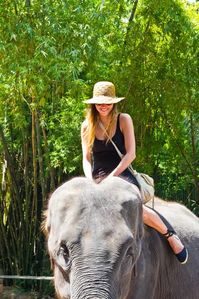 Turista monta o elefante em um zoológico — Fotografia de Stock