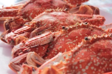 plaka üzerine hazırlanan soyunup Kavrulmuş Yengeç.