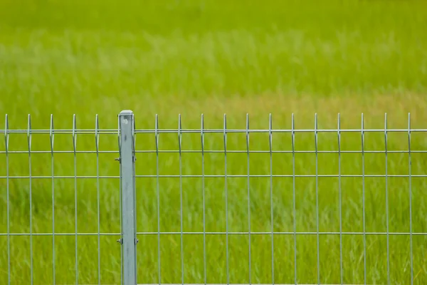 草原上的金属篱笆 — 图库照片