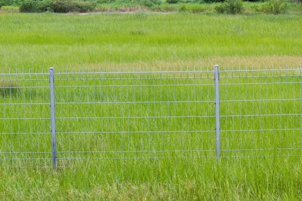 Metalen hek over het grasland — Stockfoto