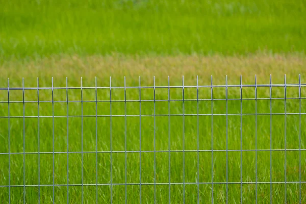 Metal fence on the grassland — Stock Photo, Image